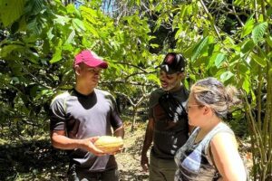 Chocolate Farm Tour